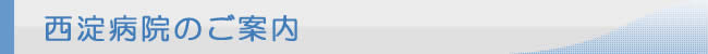 西淀病院のご案内