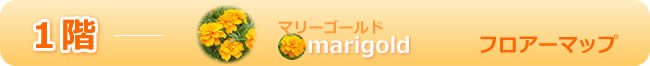 １階フロアーマップ　マリーゴールド