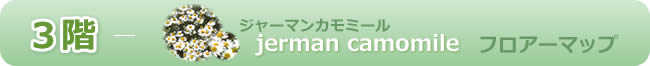 フロアーマップ３階　ジャーマンカモミール