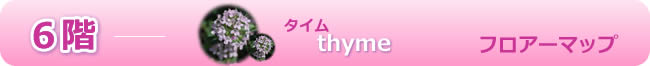 フロアーマップ６階　タイム
