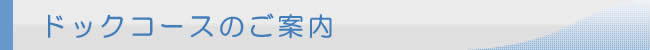 ドックコースのご案内