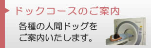 ドックコースのご案内