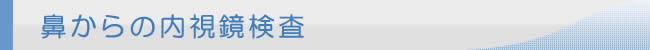 鼻からの内視鏡検査