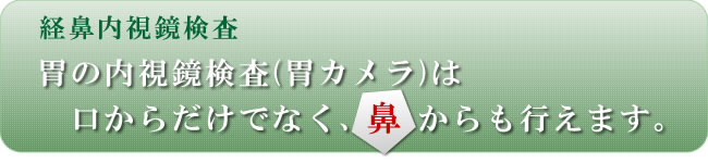 経鼻内視鏡検査　胃の内視鏡検査（胃カメラ）は口からだけでなく、鼻からも行えます。